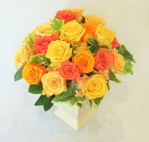 �ץꥶ���֥ɥե�/���졼�롡��������