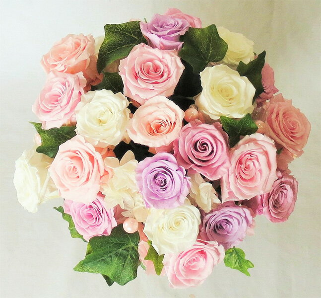 �ץꥶ���֥ɥե�/���졼�롡�ԥ�