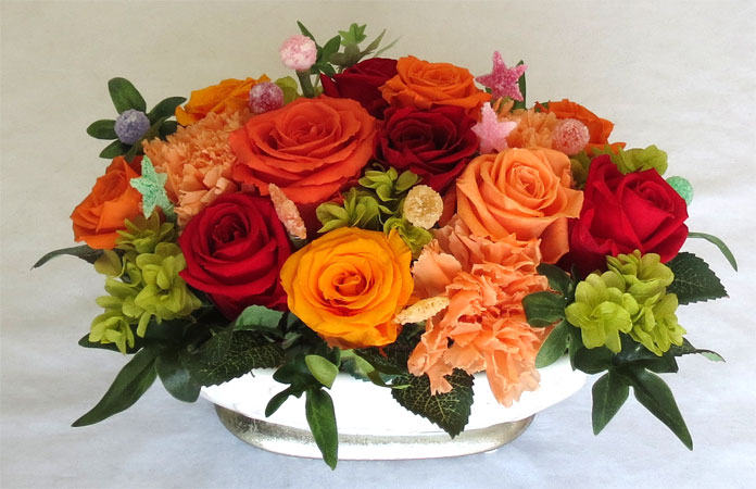 �ץꥶ���֥ɥե�/����٥������ӥӥåȥ����