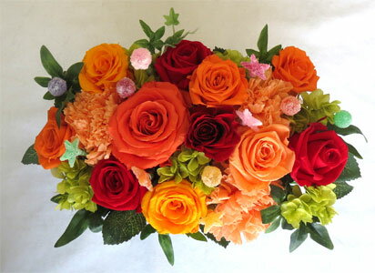 �ץꥶ���֥ɥե�/����٥������ӥӥåȥ����