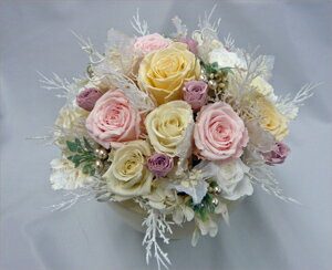 �ץꥶ���֥ɥե�/���ꥢ�ۥ磻��