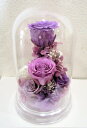 プリザーブドフラワー/ドームフラワーL パープル 【プリザーブドフラワードーム】【プリザーブドフラワー ドーム】【送料無料】