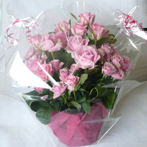 thum3