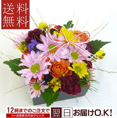 https://thumbnail.image.rakuten.co.jp/@0_mall/auc-bloomart/cabinet/s-fc/01630350/02713453/imgrc0067659089.jpg