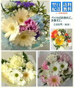 季節の花束S☆即日発送可能 あす楽対応 お供えの花【送料無料】【お供え花】【ペットのお供え】