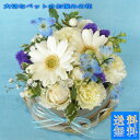 お供えの花/プチガトー 白&ブルー【お悔みの花】【送料無料】小さいお子様やペットのお悔みに 優しく可愛くお供えのお花を作ります。