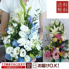 https://thumbnail.image.rakuten.co.jp/@0_mall/auc-bloomart/cabinet/s-hou/img65432207.jpg