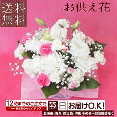 https://thumbnail.image.rakuten.co.jp/@0_mall/auc-bloomart/cabinet/s-hou/imgrc0066944058.jpg