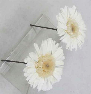 プリザーブドフラワー/ヘッドドレス ガーベラ【プリザーブド・フラワー】【bouqet】