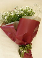 �Х�β�«/�����åȡ���������