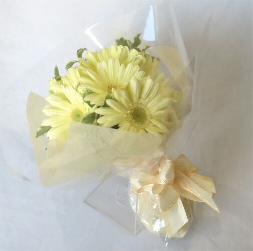 ���꡼�६���٥�֡���