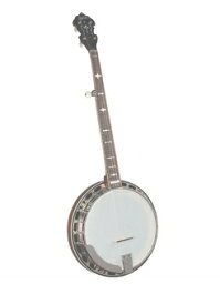 ◆ Gold Star ゴールドスタ－GF-100JD RESONATORバンジョー Bluegrass Album Banjo【smtb-tk】