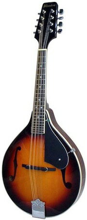 専用ケース付き！Blanton・ブラントン BM-20A A-model Mandolin マンドリン【smtb-tk】