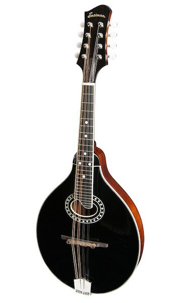 送料無料・ハードケース付！Eastman Guitars イーストマンギターズ / MD-404 ( Oval-Hole ) A-Style models フラットマンドリン【smtb-tk】