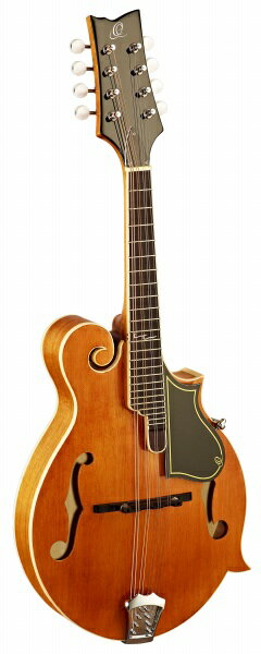 楽天市場】epiphone マンドリンの通販 楽天市場】epiphone マンドリンの通販