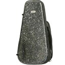 ◎◆ bags・バッグスケース / EVOLUTION TRUMPET EFTR Fusion Black トランペット用ハードケース【smtb-tk】