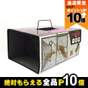 【全商品ポイント10倍!楽天SS限定★要エントリー】プラスワンスタイル 捕獲器 AタイプNO.102 NZ−2 ネズミ用