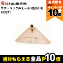 【全商品ポイント10倍!楽天マラソン限定★要エントリー】丸山製作所 サマーラックみえ〜る 5型 G1/4 415071 噴霧器用 動噴用 パーツ ノズル