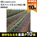【全商品ポイント10倍!8/24 20時〜楽天マラソン限定★要エントリー】住化農業資材 灌水チューブ ネオドリップヨコシタ02L WB9020 200M × 3...