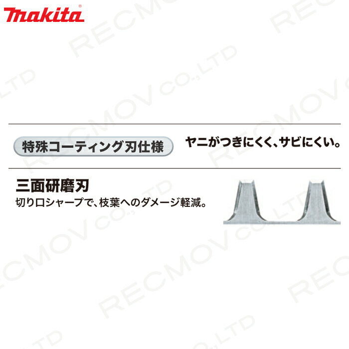 日本最大の まとめ キングジム カラーラベル パステル 黄 赤文字 PROテープ SC24YR fucoa.cl 日本最大の まとめ キングジム カラーラベル パステル 黄 赤文字 PROテープ SC24YR fucoa.cl