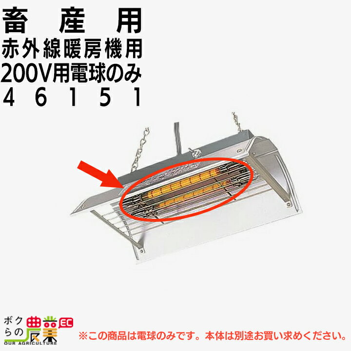 畜産用 赤外線暖房器具用 200V電球 46151酪農 畜産 養豚 養鶏 採卵鶏 ブロイラー 馬 肉牛 乳牛 牛 和牛 豚 羊 畜場 農業 牧場 放牧 飼料 子牛