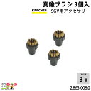 ケルヒャー 真鍮ブラシ 2.863-008.0 SGV用アクセサリー 3個入 アクセサリー 部品 交換 KAERCHER