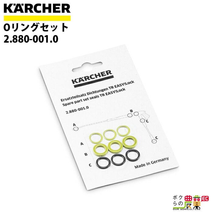 ケルヒャー Oリングセット EASY!LOCK 2.880-001.0 高圧洗浄機用 HD用 Oリングセット 洗浄機 高圧洗浄機 KAERCHER
