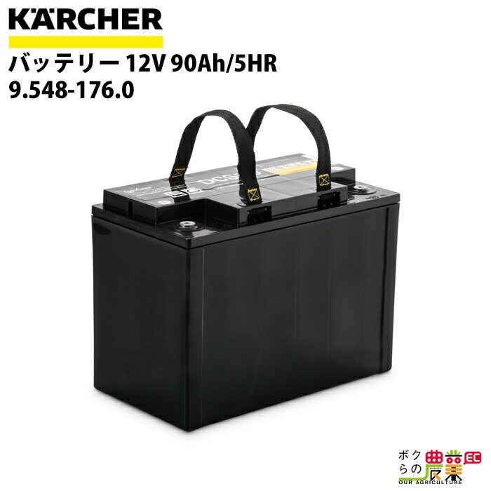 ҥ㡼 Хåƥ꡼ 9.548-176.0  Хåƥ꡼ 12V    KAERCHER