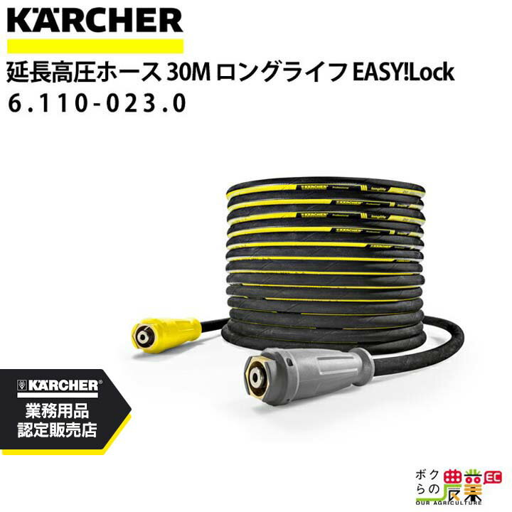 ケルヒャー 高圧ホース 30m ID8mm 6.110-023.0 両端 ロングライフ アクセサリ KAERCHER【EASY!Lock 対..
