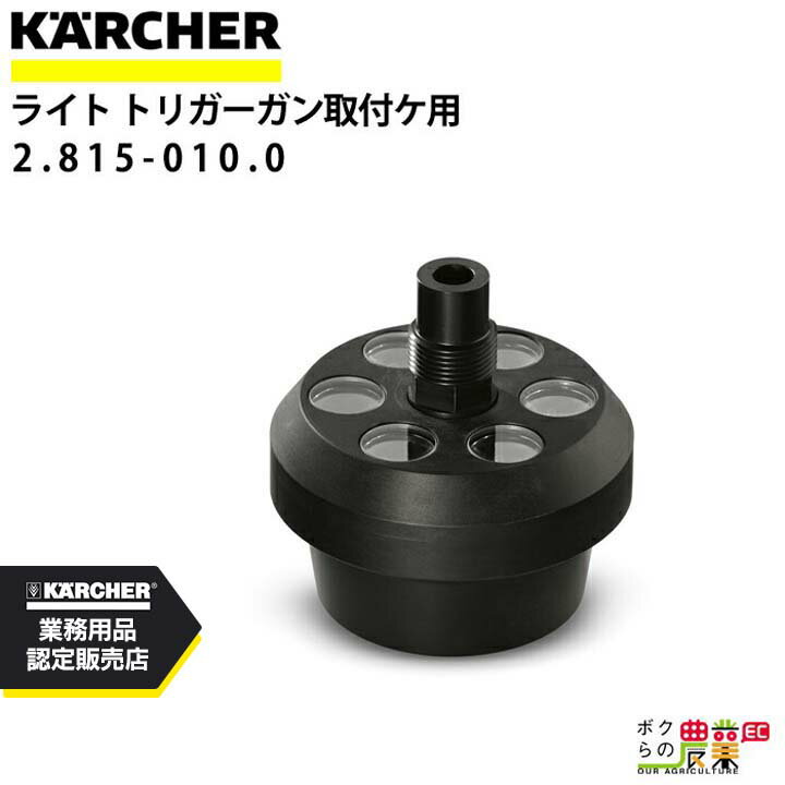 ケルヒャー ブラストガン取付け用ライト 2.815-010.0 IB 15/120用 アクセサリー 部品 交換 KAERCHER(3)