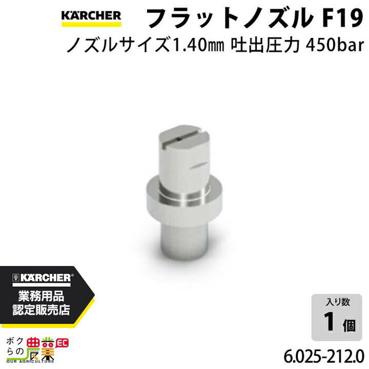 ケルヒャー フラットノズル30度 6.025-212.0 高圧洗浄機用 ノズルサイズ 140 KAERCHER【EASY!Lock 非対応】