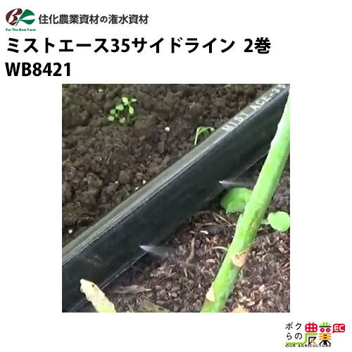 住化農業資材 灌水チューブ 無マルチ向け ミストエース35サイドライン WB8421 100M×2巻 無マルチ向け 散水幅1.2M 農業用