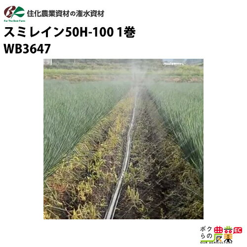 住化農業資材 灌水チューブ スミレイン50H-100 WB3647 100M×1巻 露地向け 潅水 散水 散水幅20M 農業用
