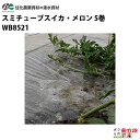 【4月限定!当選確率1/2★最大100%P還元!要エントリー】住化農業資材 灌水チューブ スミチューブスイカ・メロン WB1032 200M×5巻 マルチ下向け...