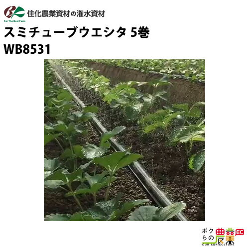 住化農業資材 灌水チューブ スミチューブウエシタ WB1033 200M×5巻 ハウス向け 潅水 散水 散水幅3.4M 農業用