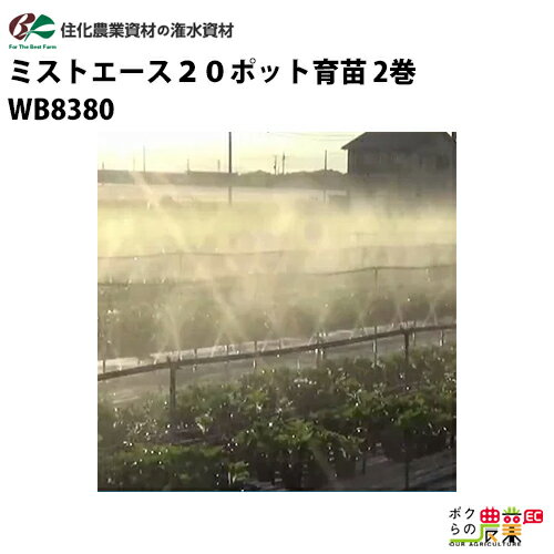 【送料無料】 住化農業資材 灌水チューブ / ミストエース20ポット育苗 WB8380 / 100M×2巻 60mまで均一散水 / 潅水 灌水 散水 チューブ ホース 農業資材 / 花苗、イチゴ苗の育苗