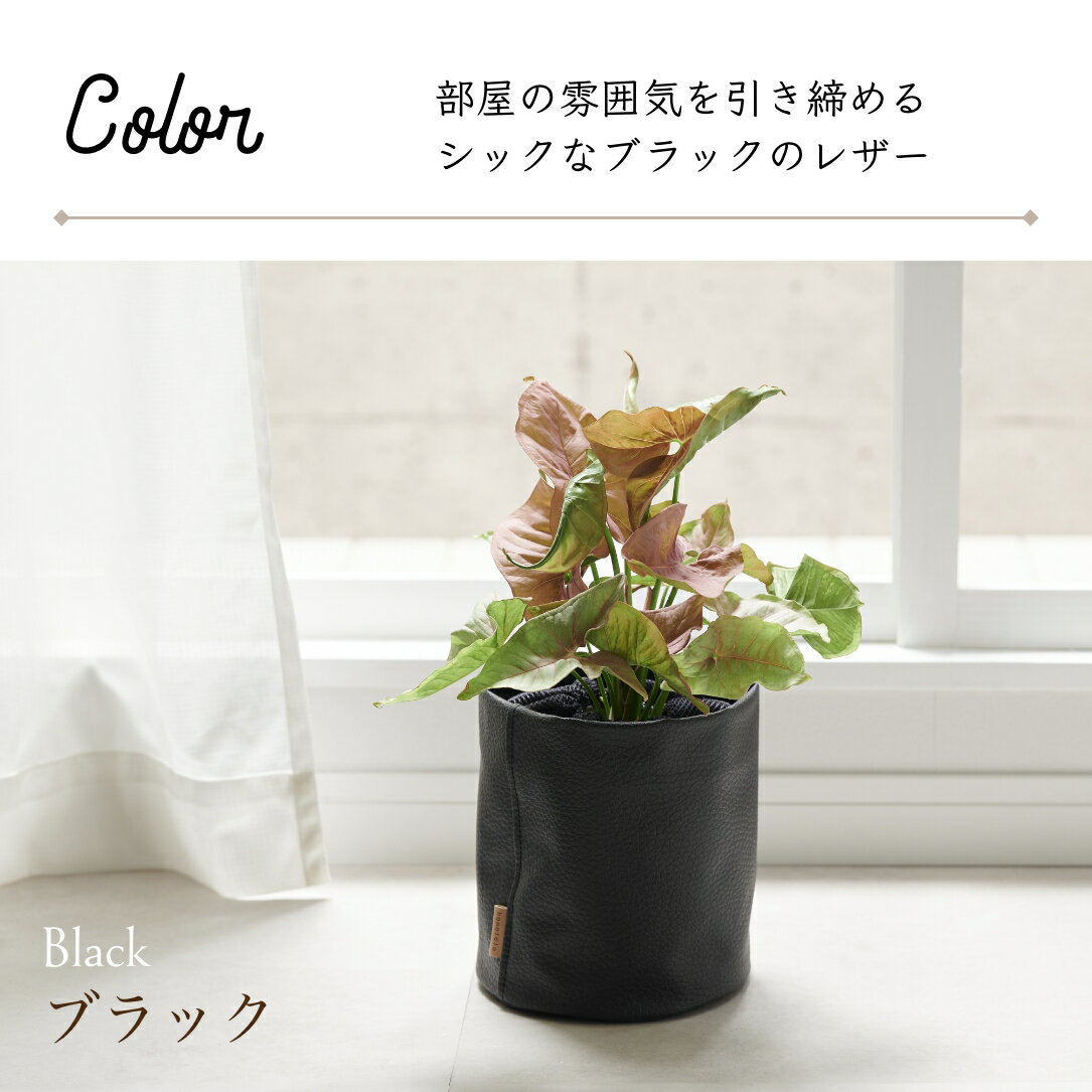 4/1���ꡪ����10��OFF�����ݥ�쥶���ץ��ȥ��С�5��4-5���ѡ�ȭ���С� �롼�����С� ȭ ���С� ���ˤ� 4�� 5�� ���տ�ʪ ������ �̲� �쥶�� ������� ����ƥꥢ ����ץ� �񻺹���쥶�� ���� �� �ͥ� �¿� ������