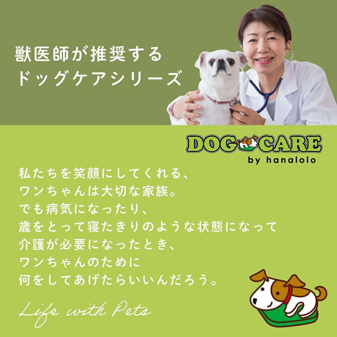 サンプル画像2