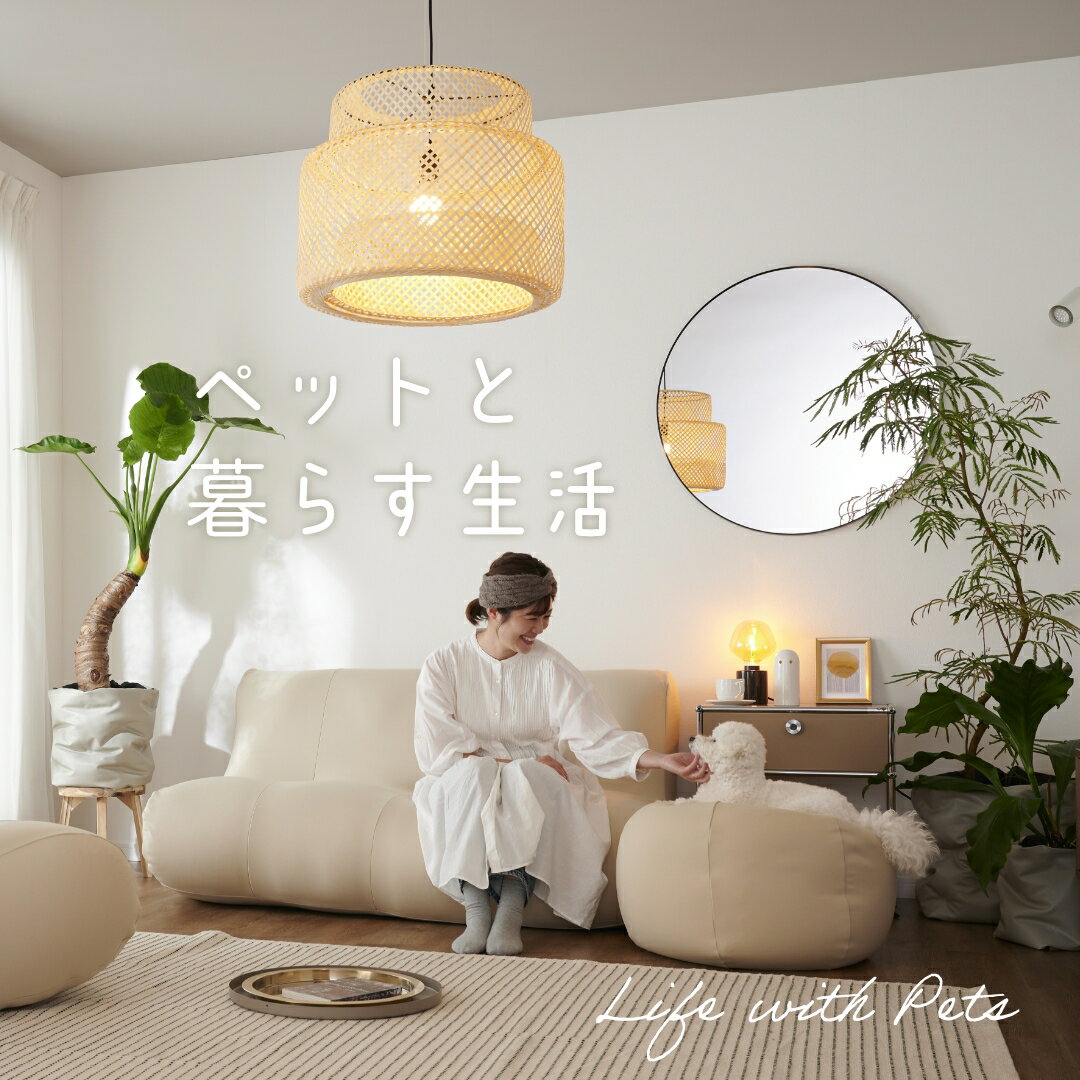 【4/18限定!全品10%OFFクーポン】ペッ...の紹介画像2