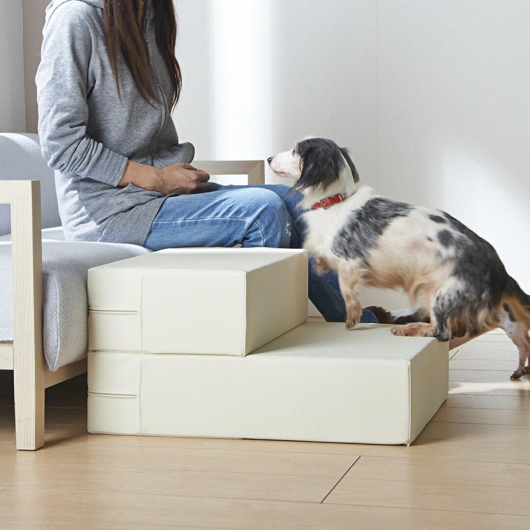 ������10��OFF�����ݥ�������ץڥåȥ��ƥå� �ɥå����ƥå� �쥶�� ���� �������� Ƨ���� �٥å� ���ե� �� �ڥå����� �¿� ��ȿȯ ���� ������ ���ͤμ�Ż� 2�� ����ץ� �ץ쥼��� ���ե�