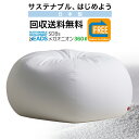 【全品ポイント20倍 5/9 20時～】ビーズクッション 本体 回収送料無料 オニオンクッション 360リットル サステナブル 始めよう 家族で SDGs 持続可能な開発目標 SDBs Deliver to Collect おうち時間