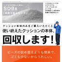 【全品ポイント10倍】ビーズクッション 本体 回収送料無料 オニオンクッション 80リットル サステナブル 始めよう 家族で SDGs 持続可能な開発目標 SDBs Deliver to Collect おうち時間 2