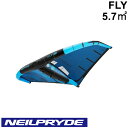 NEILPRYDE ニールプライド FLY 5.7平米 フライ ウイング ウイングフォイル WING FOIL ニルス ローゼンブラッド Nils Rosenblad サーフウイング カイトウイング ウイングサーフィン