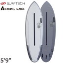 SURFTECH AL MERRICK MINI 5'9 FUSION DUAL CORE / 