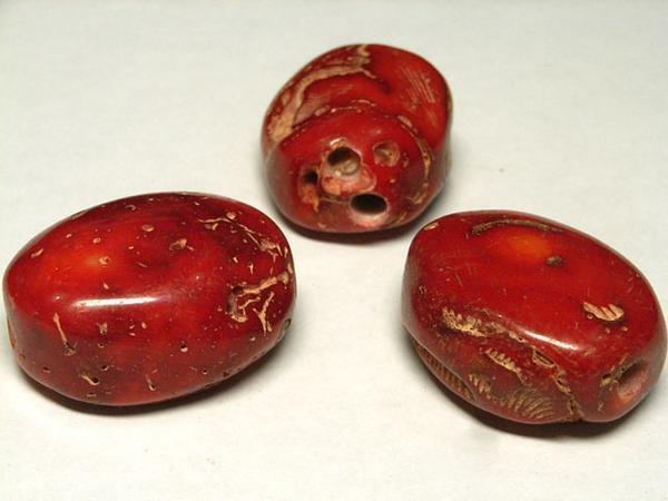 ※品質には万全を期していますが、天然素材であるため模様や形状が異なる場合があります ※色落ちの原因となりますので汗や雨に触れたり、高温多湿での着用をお控え下さい【サイズ・素材】サイズ 約25×40mm前後 穴 約4mm数量 1粒 素材 珊瑚（染色）【留意事項】 ※サイズや色が画像と異なる場合がございます ※画像内に使用している装飾品や他アクセサリーは商品に含まれません ※留め具の形状等が予告無く変更になる場合がございます