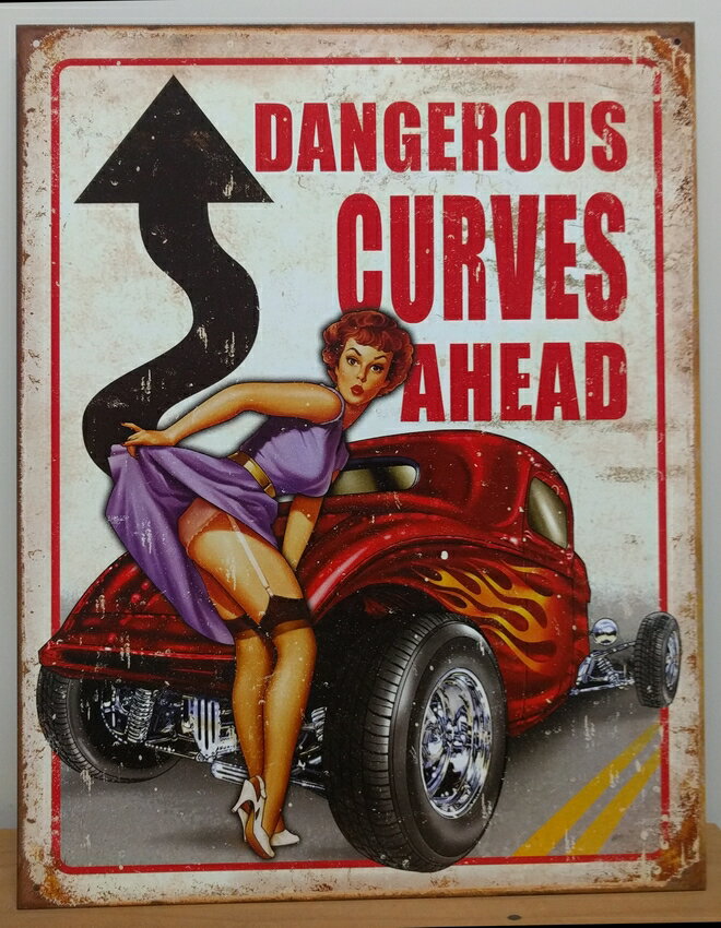 ꥫ ֥ꥭ ԥʥåץ Dangerous Curves ahead W31.6cmxH41.5cmڿʡ