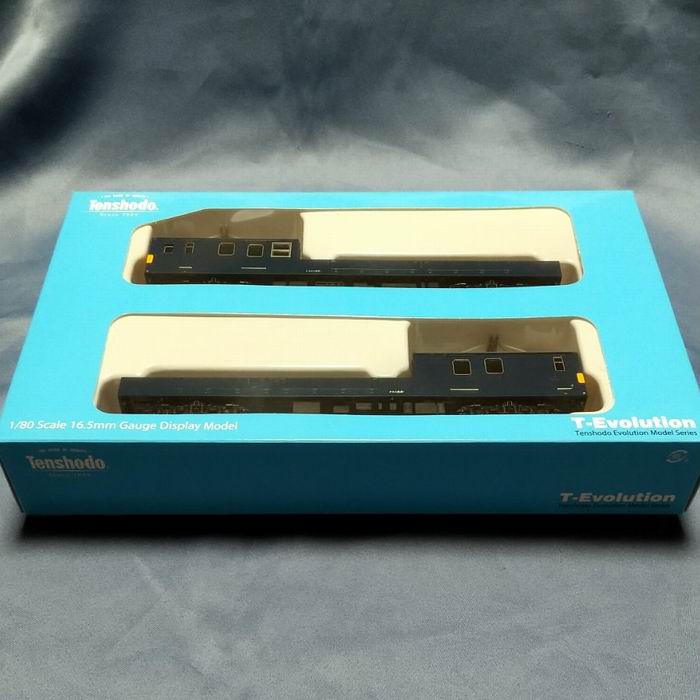 ŷ��Ʋ T-Evolution 2 �����145���ܥ���144�� �۵��ż� 2�ҥ��å� ��Ŵ������ ��˥å�����̵���� 65007 1/80�������� HO������...