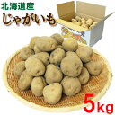 【送料無料】 北海道産 じゃがいも 5kg 品種おまかせ 男爵 きたあかり メークイン など 北海道 ほっかいどう じゃが芋 いも イモ ポテト 野菜 買いおき まとめ買い お取り寄せ 常備野菜 自宅用 家庭用 業務用 贈り物