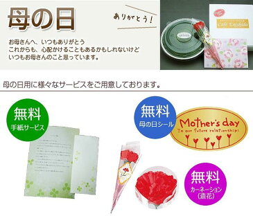 母の日 スイーツ ギフト 送料無料■チーズケーキ&和菓子&カーネーション&手紙セット【花とスイーツ 母の日 花 スイーツ セット mathers day】