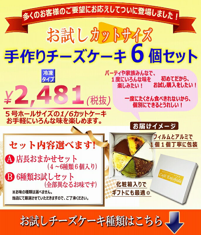 ★数量限定★お試し 人気チーズケーキ カットサイズ6個セット【冷凍】スイーツ 誕生日 バラエティ アソート 訳あり 同梱にお勧め sweets gift cheesecake